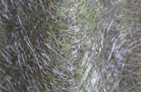Hebron fibreglass roof work